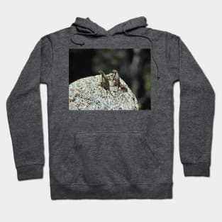 Wildlife gifts, reptiles, western fence lizard Hoodie